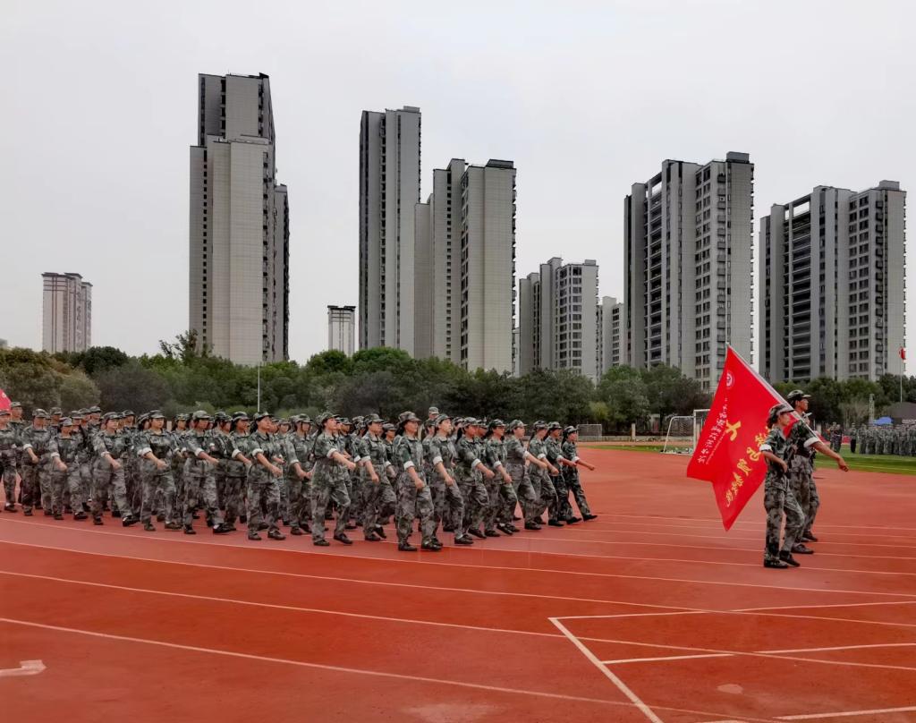 11ae26.jpg