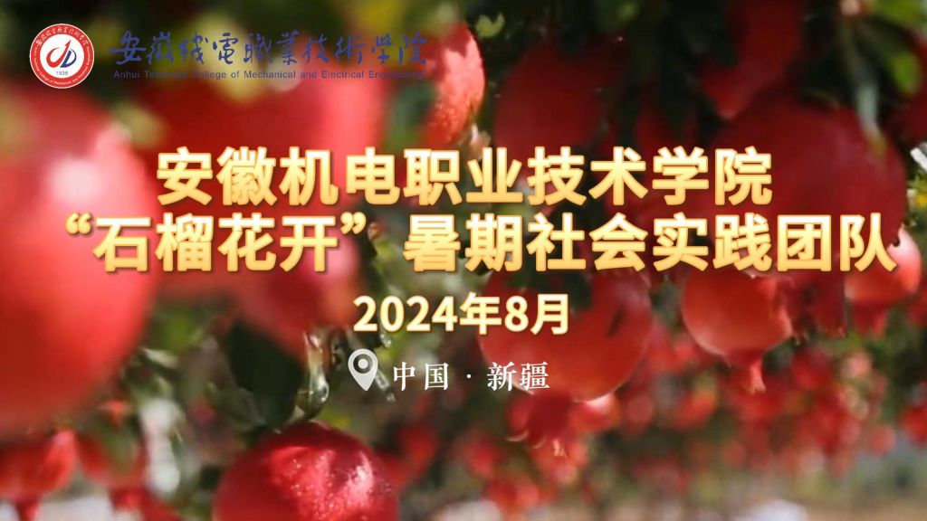 民族团结石榴花开-安机电石榴花开暑期社会实践团队-封面.jpg